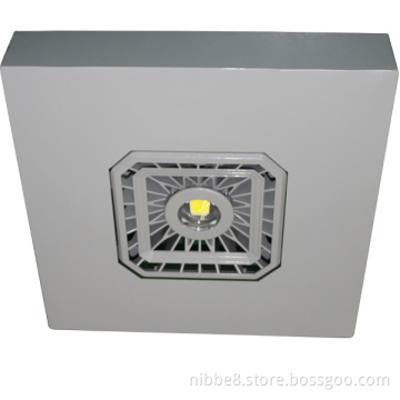 Explosion Proof LED Petrol/ Gas Station Canopy Light